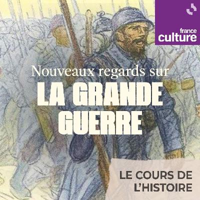 Nouveaux regards sur la Première Guerre mondiale : Apte au combat ! La fabrique du soldat de la Grande Guerre