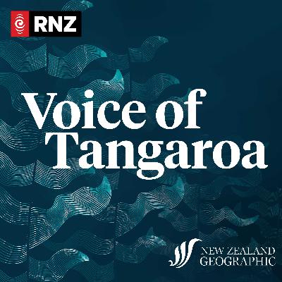 Introducing: Voice of Tangaroa