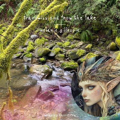 Transmission from the Forest Family