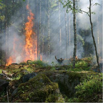 66. 今週末の予報から山火事の不安が？