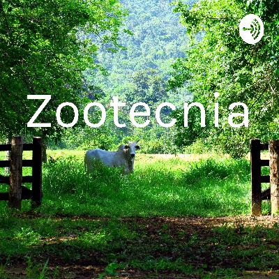Zootecnia