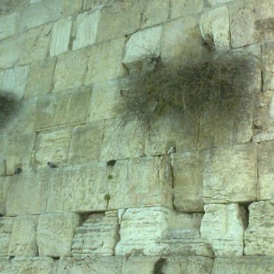 Episode 249: הברכה שבברכה