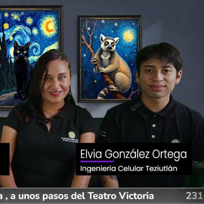 Foro Anime: Entrevista a Ingenieria Celular de Teziutlán