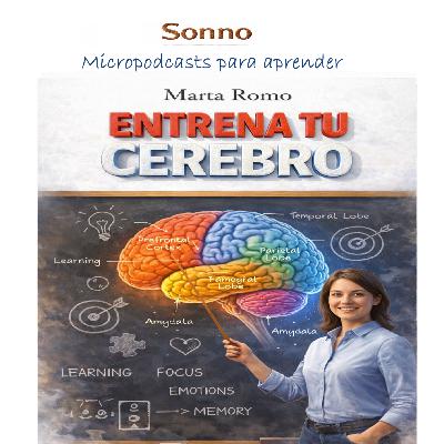 #0656 | Entrena tu cerebro #0656 | Entrena tu cerebro