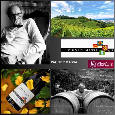 Benvenuti in Cantina: WALTER MASSA, il Paladino del Timorasso (Piemonte)