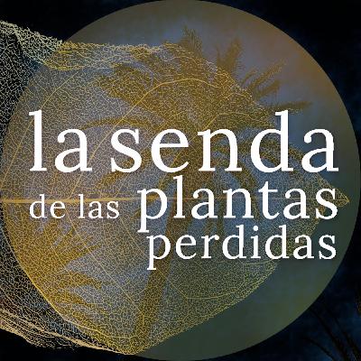 MILITANSI, KESETIAAN & MOBILISASI dalam PEMURIDAN - 2 Korintus 4:16-18