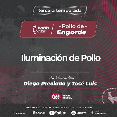 #04 Iluminación de Pollo