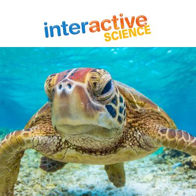 Trailer: PGS - Interactive Science Trailer: PGS - Interactive Science