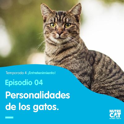 ¿Qué personalidad tiene mi mejor amigo?