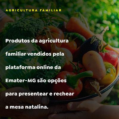 Produtos da agricultura familiar vendidos pela plataforma online da Emater-MG
