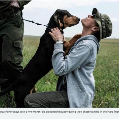 Anti-Poaching Dogs of Africa with Trainer Linda Porter Anti-Poaching Dogs of Africa with Trainer Linda Porter