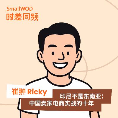 Vol. 50 小公司和夫妻作坊更容易在印尼存活？印尼本土电商实战的十年