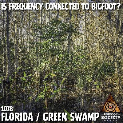 A Florida Researcher Shares Years Of Encounters In The Green Swamp With Sasquatch A Florida Researcher Shares Years Of Encounters In The Green Swamp With Sasquatch