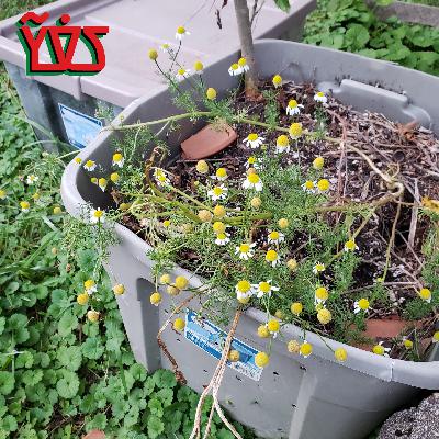 Bioremediation – Helping Nature Do It’s Thing