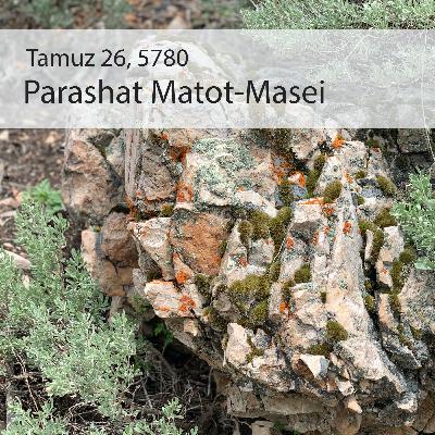 AE: Torah for the Earth - Matot-Masei AE: Torah for the Earth - Matot-Masei
