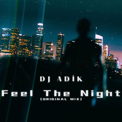 DJ Adik - Feel The Night (Original Mix)
