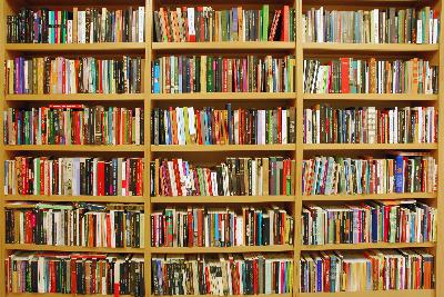 Lo que hay que leer. 'Ahogados. Efectos cognitivos y económicos de la inmersión lingüística en Cataluña'