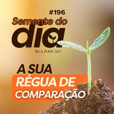 SEMENTE DO DIA: Qual a sua régua de comparação?