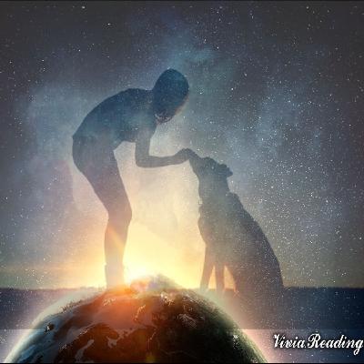 Vivia聊通靈~視角如AI生成之尋狗記