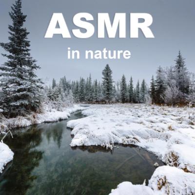 Take an ASMR walk with me- Crunchy Snow Sounds with Calming Nature Ambience + Positive Affirmations