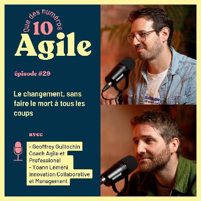 #29  Le changement sans faire le mort à tous les coups - Geoffrey Guillochin - Yoann Leméni