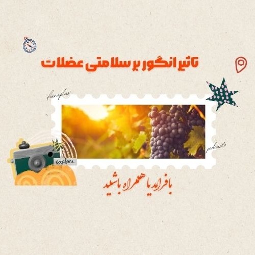 تاثیر انگور بر سلامتی عضلات