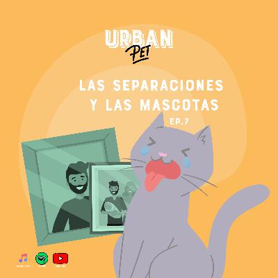 Ep. 7 - Las separaciones y las mascotas