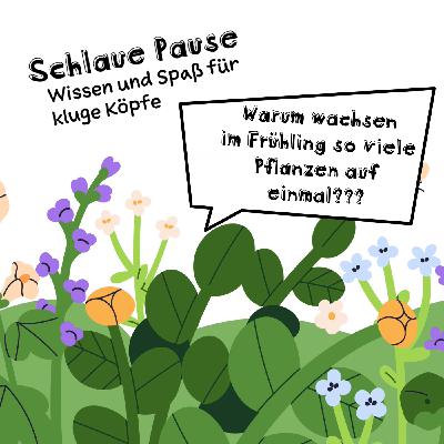 Warum wachsen im Frühling so viele Pflanzen auf einmal? Warum wachsen im Frühling so viele Pflanzen auf einmal?