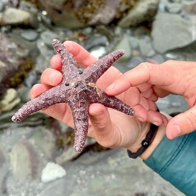 Tide Pools with Michelle Kunst
