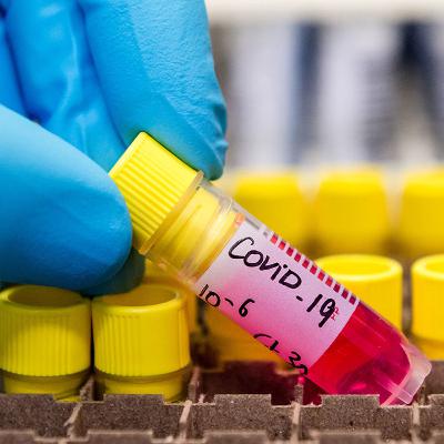 COVID-19: THE VIRUS WHICH TURNED CHINA INTO A NIGHTMARE