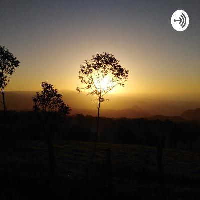 Dejar ir, también es agradecer