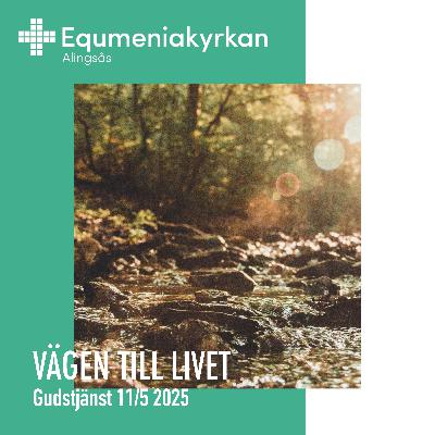 250511 - Vägen till livet - Peter Lindroos