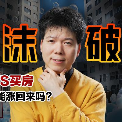 [预览] 「付鹏&高善文」中国房地产泡沫破裂，房价还能涨回来吗？年轻人租房还是买房？12/24