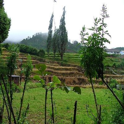 Udhagamandalam Udhagamandalam