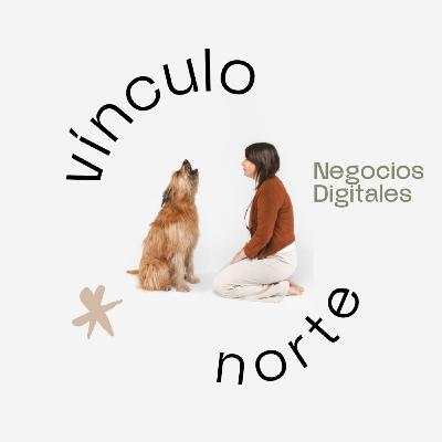 #121 Qué hacer si te insultan o te dejan de seguir