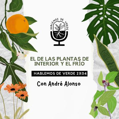 El de las plantas de interior y el frío (con @andrealonsorc) | 2x04 | Hablemos de verde
