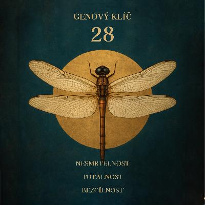 Genový klíč 28 – Kontemplace stínu: Bezúčelnost Genový klíč 28 – Kontemplace stínu: Bezúčelnost