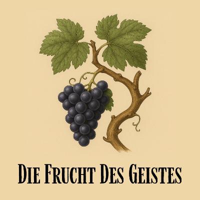 Drei Schritte für ein besseres Leben // Die Frucht des Geistes ( Teil 6) // Noah Reinbold