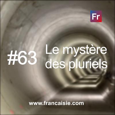 Le mystère des pluriels