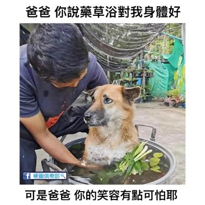 EP.82  謝謝那些陪我們長大的小生命