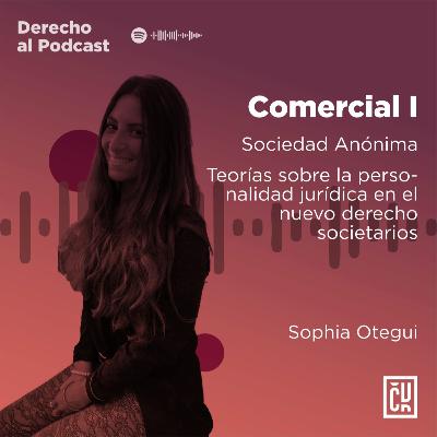 Sociedad Anónima - Derecho Comercial I. Por Sophia Oteghi