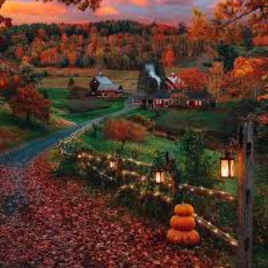 شعر: حوالی پاییز ‌‌🍁🍂🍁