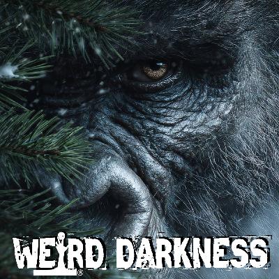 True Bigfoot Stories | The Encounters You Know, The Paranormal Ones You Don't!