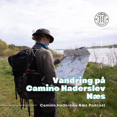 Vandring på Camino Haderslev Næs: Forberedelse, oplevelser og lokal imødekommenhed