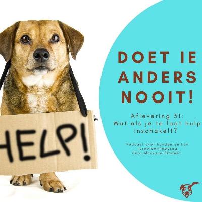 Ep. 31 Wat als je te laat hulp inschakelt?