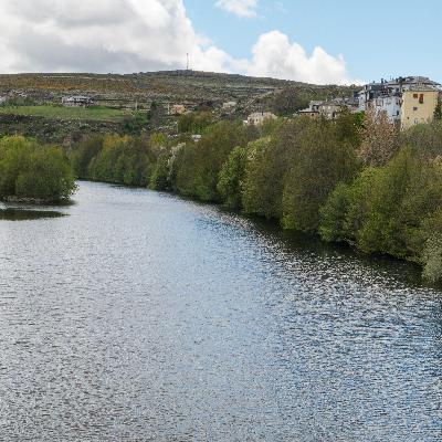 Por qué la lluvia está tiñendo de negro los ríos en las zonas quemadas y cómo complica la recuperación de los bosques