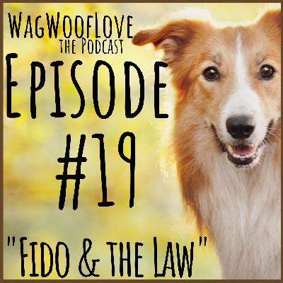 Fido and the Law