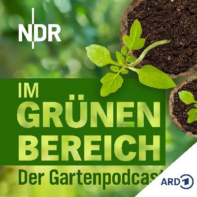 Endlich aussäen: Diese sechs Gemüsearten klappen garantiert Endlich aussäen: Diese sechs Gemüsearten klappen garantiert