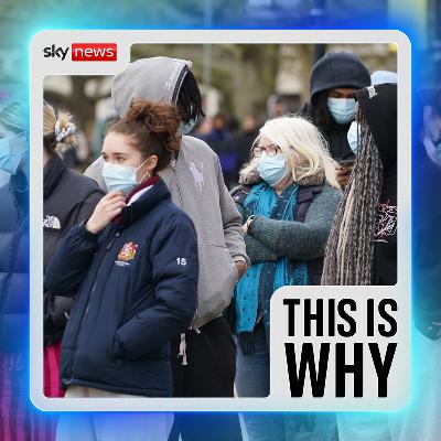 Why are young people still dying from meningitis?
