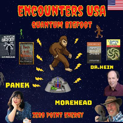 Zero Point Energy UFOs & The Mystery Of A Quantum Field Bigfoot